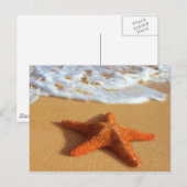Carte postale Starfish (Devant / Derrière)