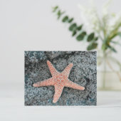 Carte postale Starfish (Debout devant)