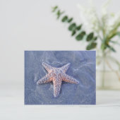 Carte postale Starfish (Debout devant)
