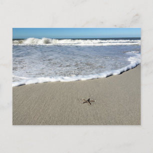 Carte Postale Starfish attendant les vagues