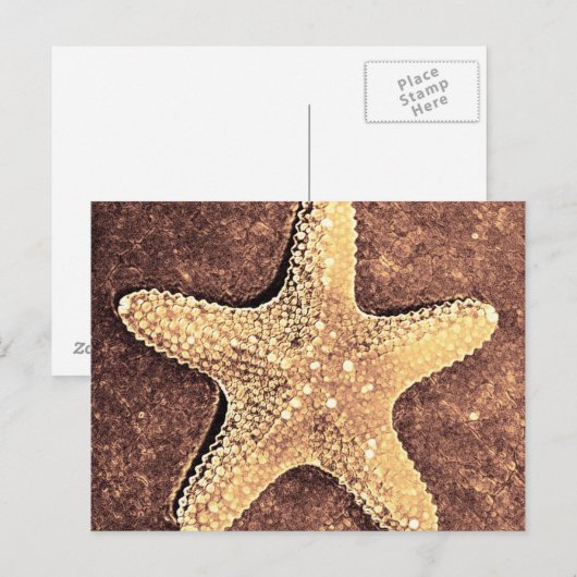Carte postale Starfish Bronze (Devant / Derrière)