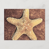 Carte postale Starfish Bronze (Devant)