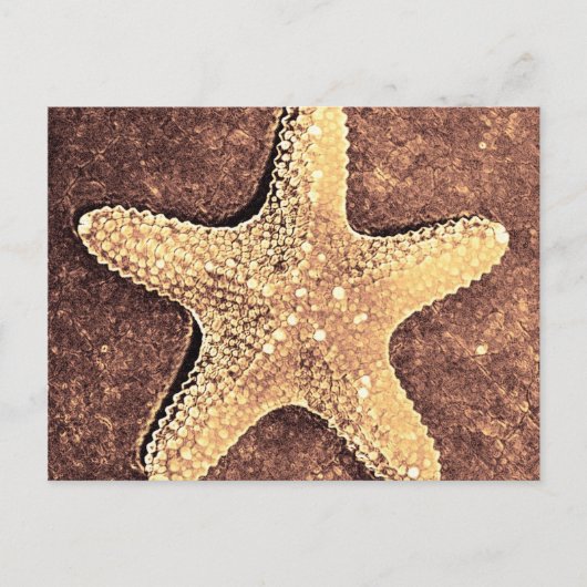 Carte postale Starfish Bronze (Devant)