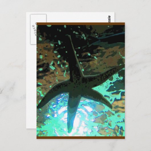 Carte Postale Starfish CB (Devant / Derrière)