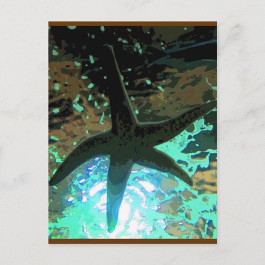 Carte Postale Starfish CB (Devant)