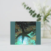 Carte Postale Starfish CB (Debout devant)