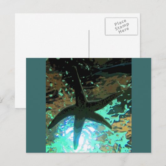 Carte Postale Starfish CB (Devant / Derrière)