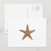 Carte Postale Starfish - Northern Sea Star (Devant / Derrière)