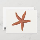 Carte Postale Starfish - Sherman Denton Fish Lithograph (Devant / Derrière)