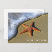 Carte Postale Starfish sur la plage (Devant / Derrière)
