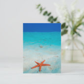 Carte Postale Starfish sur une dune de sable sous l'eau (Debout devant)