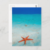 Carte Postale Starfish sur une dune de sable sous l'eau (Devant / Derrière)