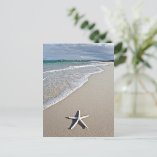 Carte Postale Starfish Sur Une Plage Éloignée (Debout devant)