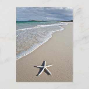 Carte Postale Starfish Sur Une Plage Éloignée