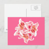 Carte Postale Stargazer Lilies (Devant / Derrière)