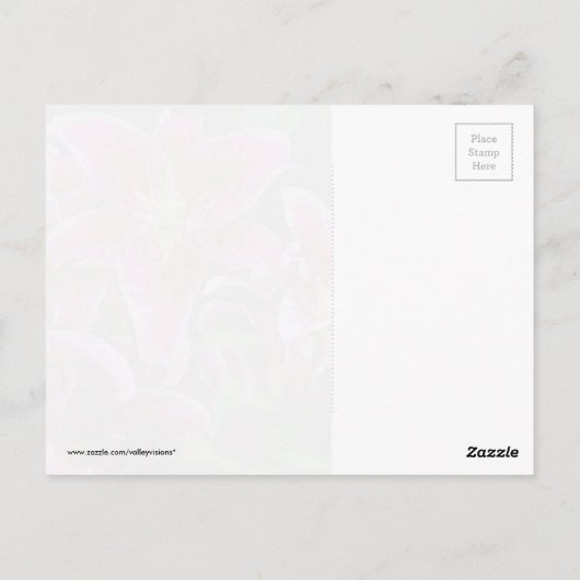 Carte Postale Stargazer Lilies (Dos)