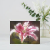 Carte Postale Stargazer Lilies #14 (Debout devant)