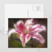 Carte Postale Stargazer Lilies #14 (Devant / Derrière)