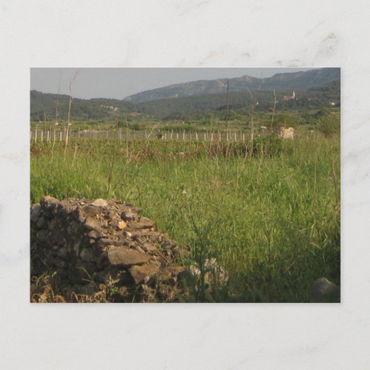 Carte Postale Stari Grad Plain (Devant)