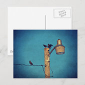 Carte Postale Starlings (Devant / Derrière)