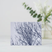 Carte Postale Starlings dans un arbre (Debout devant)