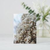 Carte Postale Starry Magnolia 5871 (Debout devant)