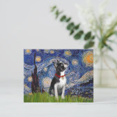 Carte Postale Starry Night - Boston T (2rc) (Debout devant)