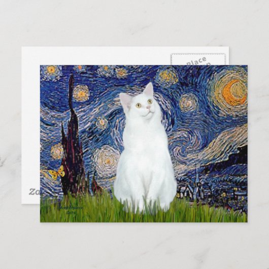 Carte Postale Starry Night - chat blanc (Devant / Derrière)
