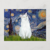 Carte Postale Starry Night - chat blanc (Devant)