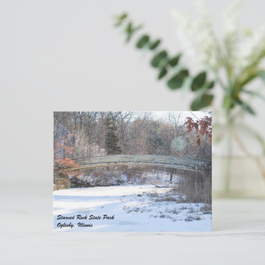 Carte postale Started Rock State Park (Debout devant)