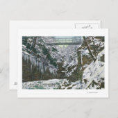 Carte Postale State Park Gorge Suspension Bridge View in (Devant / Derrière)