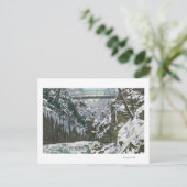 Carte Postale State Park Gorge Suspension Bridge View in (Debout devant)