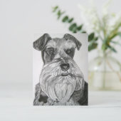 Carte Postale Stately Schnauzer (Debout devant)