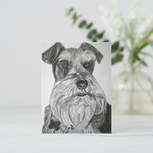 Carte Postale Stately Schnauzer (Debout devant)
