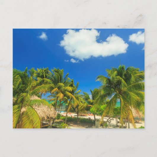 Carte Postale Station balnéaire tropicale, Belize (Devant)