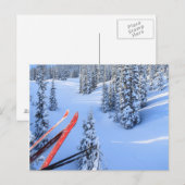 Carte Postale Station de ski de Crystal Mountain, près de Mt. Ra (Devant / Derrière)