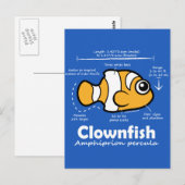 Carte Postale Statistiques sur les poissons clowns (Devant / Derrière)