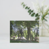 Carte Postale Statue (Debout devant)
