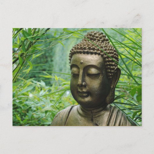 Carte Postale Statue de Bouddha paisible dans une forêt verte fe (Devant)