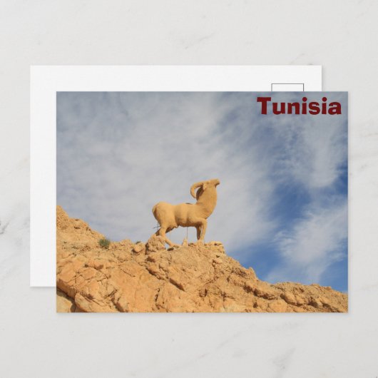 Carte Postale Statue de chèvre tunisienne (Devant / Derrière)