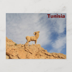 Carte Postale Statue de chèvre tunisienne