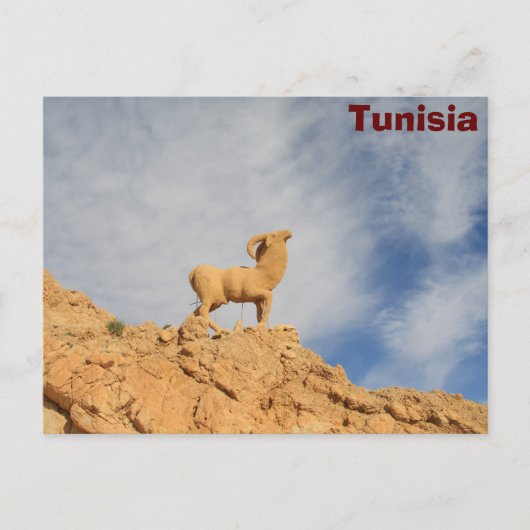 Carte Postale Statue de chèvre tunisienne (Devant)