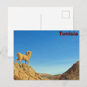 Carte Postale Statue de chèvre tunisienne (Devant / Derrière)