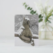 Carte Postale statue de chien dans la neige (Debout devant)