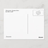 Carte Postale statue de chien dans la neige (Dos)