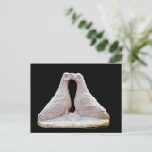 Carte Postale Statue de colombe embrassante au Musée de Chypre (Debout devant)