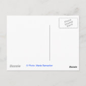 Carte Postale Statue de la Liberté (Dos)