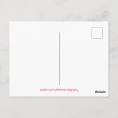 Carte Postale Statue de l'ange (Dos)