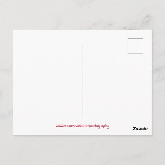 Carte Postale Statue de l'ange (Dos)