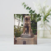 Carte Postale statue de shibuya hachiko (Debout devant)